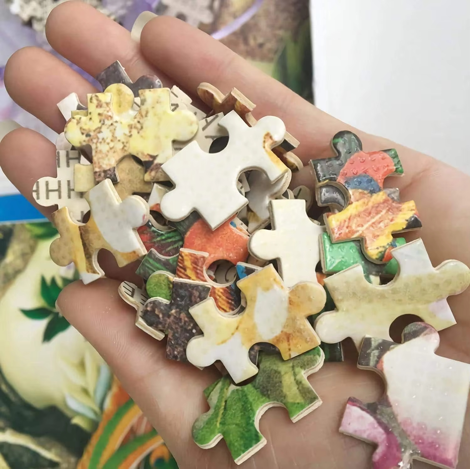 500/1000/1200/2000 PCS Jigsaw  – Mountain Biking Game Bewertung und Preis